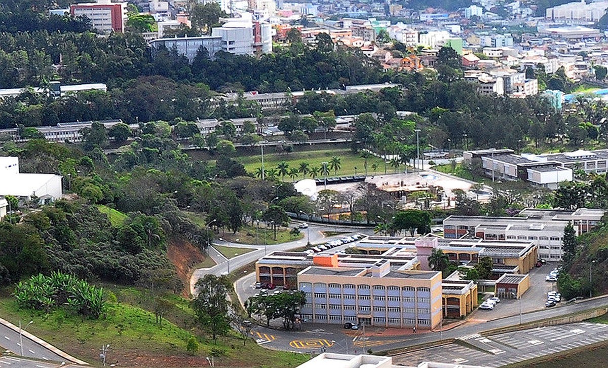 UFJF presents cultural programming and workshops at the 74th Annual Meeting of the Brazilian Association for the Advancement of Science |  wood area