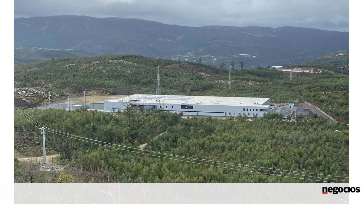 Minister Sisa Vieira “roasts” a unique plant outside Asia – Industry