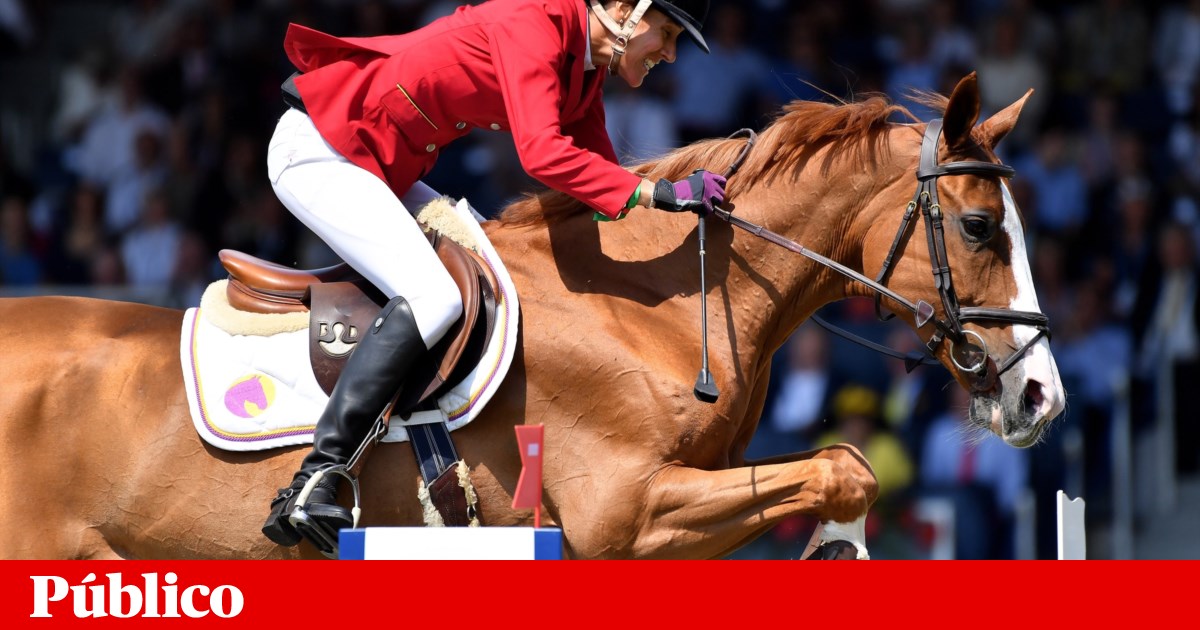 Portugal wants the equestrian medal from Luciana Deniz |  Riding