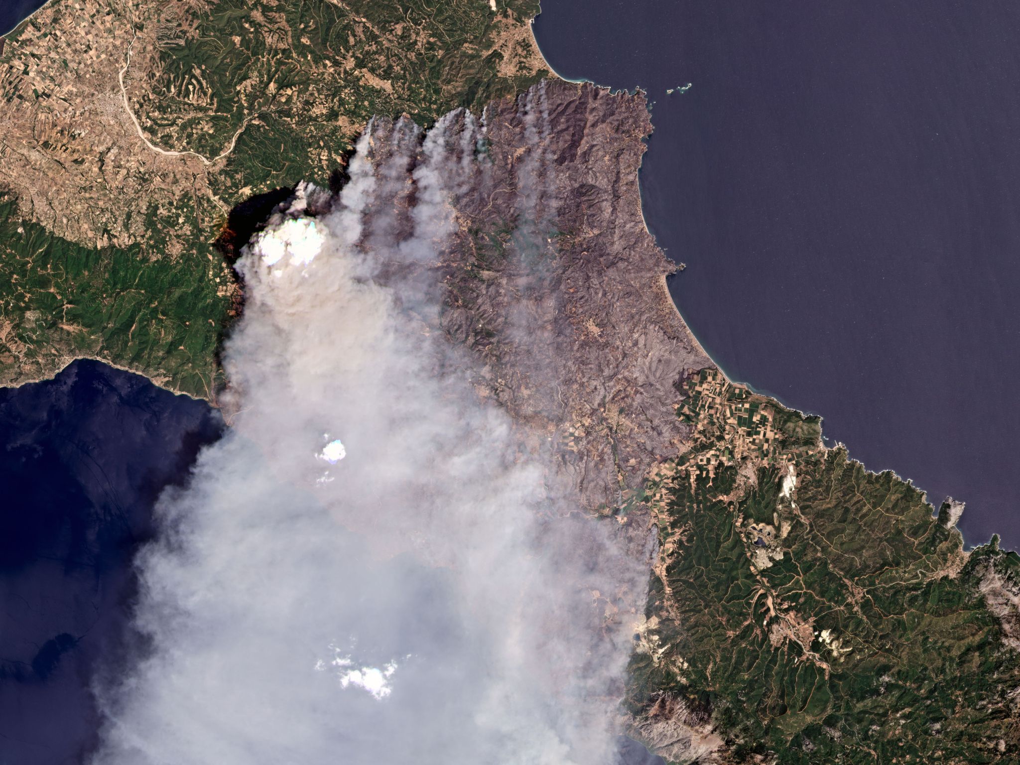 Greek Prime Minister on forest fires: – A natural disaster like no other