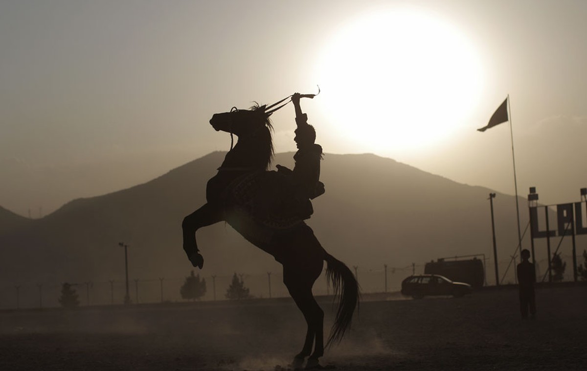 Found in the Caucasus, the origin of the local horse |  Science