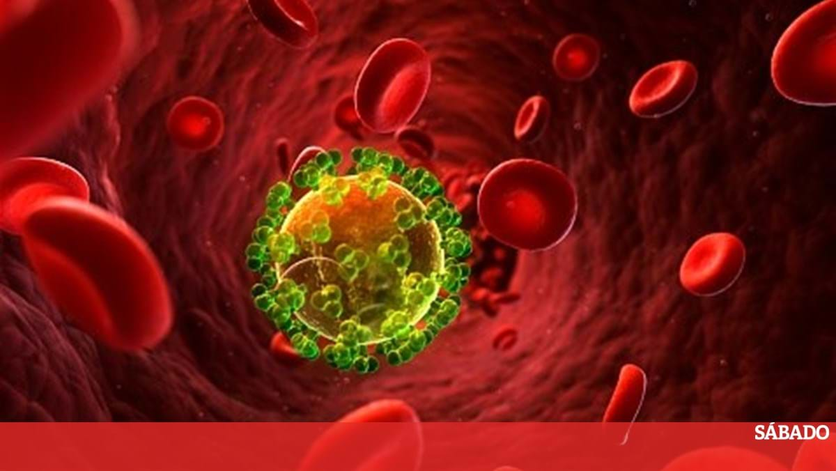 Another woman beat HIV 'naturally' - Science and Health

