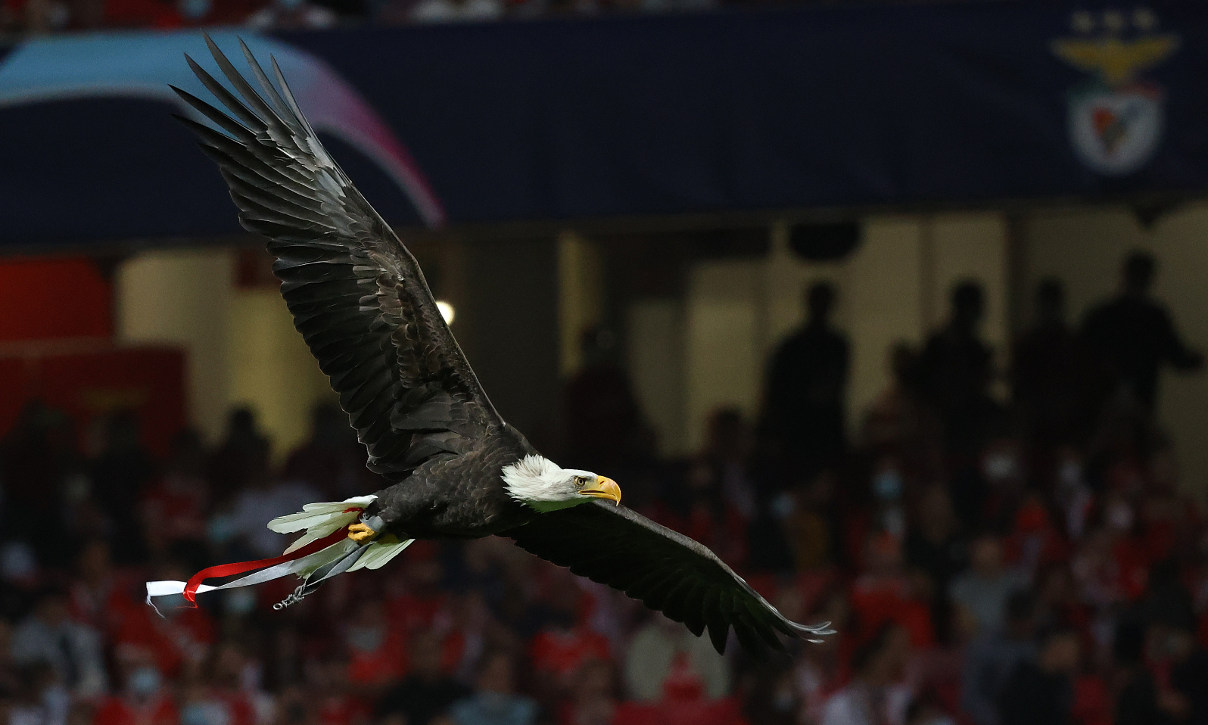 Benfica in disgrace at the Joao Rocha Derby Futsal Stadium