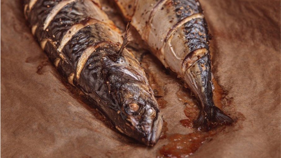 Black urine disease associated with cook-resistant fish poison