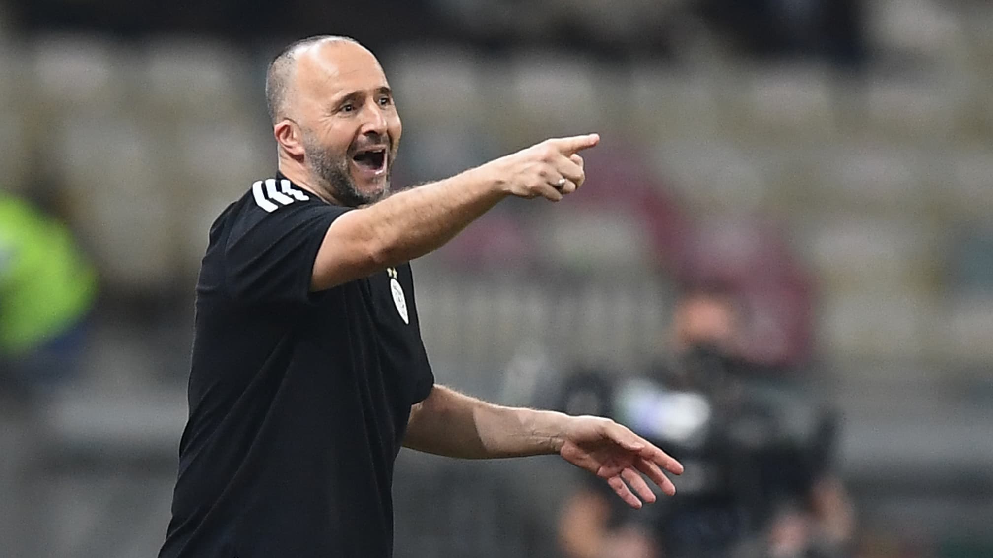 Belmadi's cold rage after a journalist's most inappropriate question

