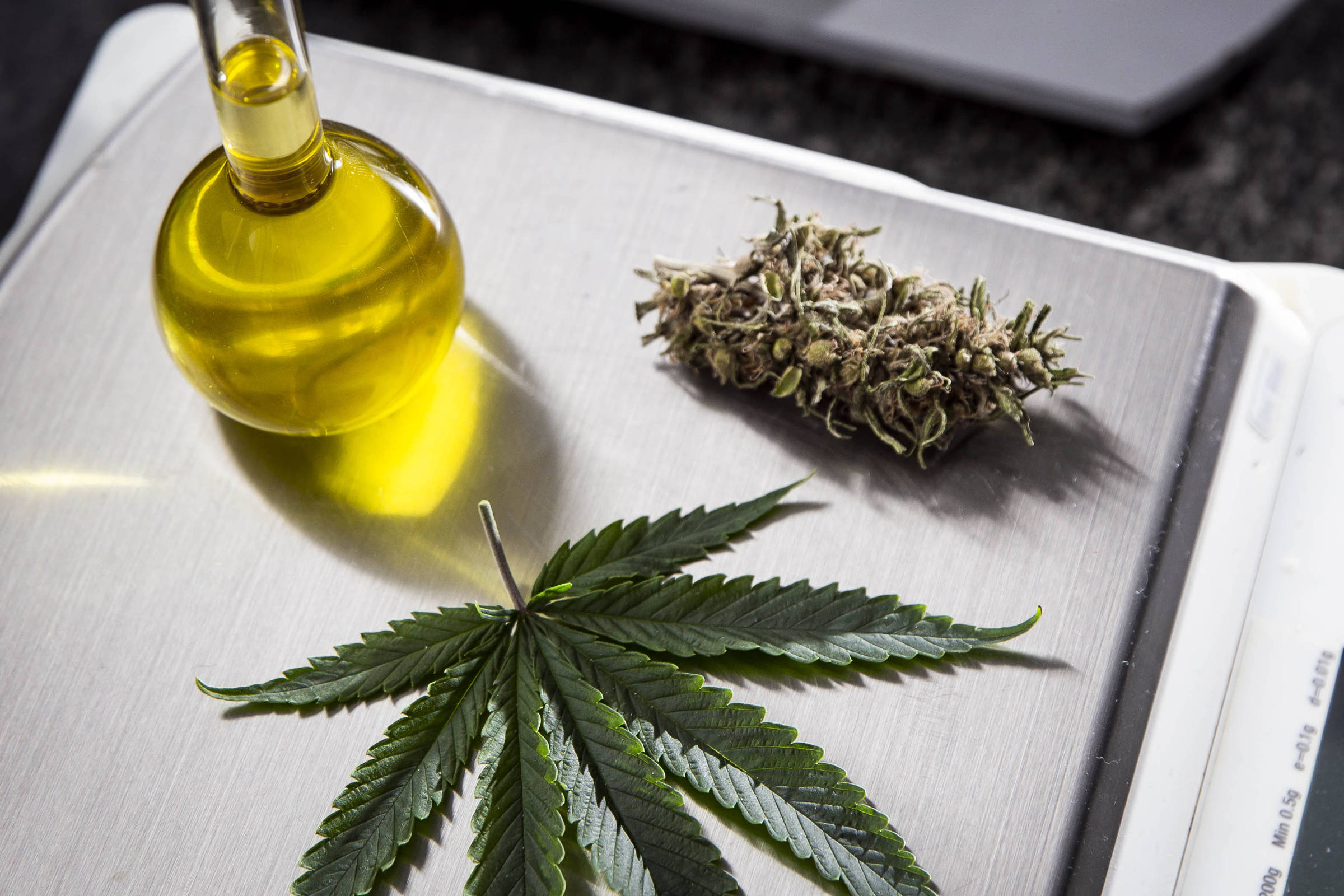 Study Suggests Cannabidiol Can Treat High Cases of Brain Cancer – 01/04/2022 – Balance and Health