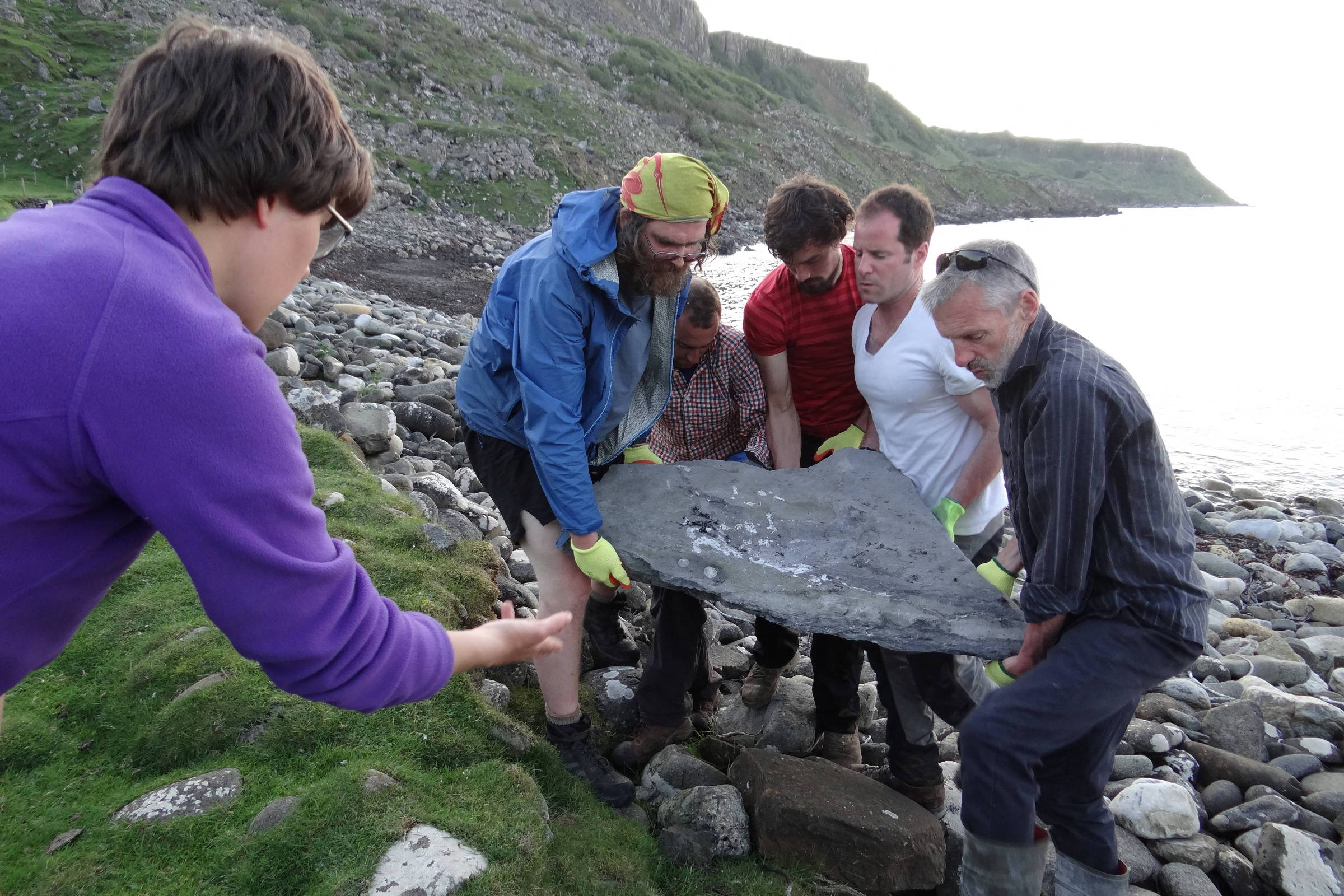 Fossil of Scottish bird reptile leaves scientists 