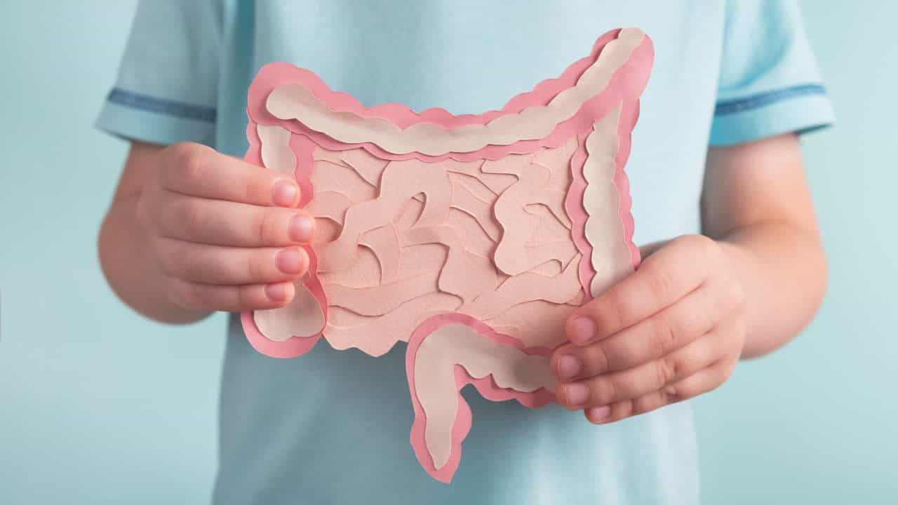 Study says healthy gut favors cancer treatment