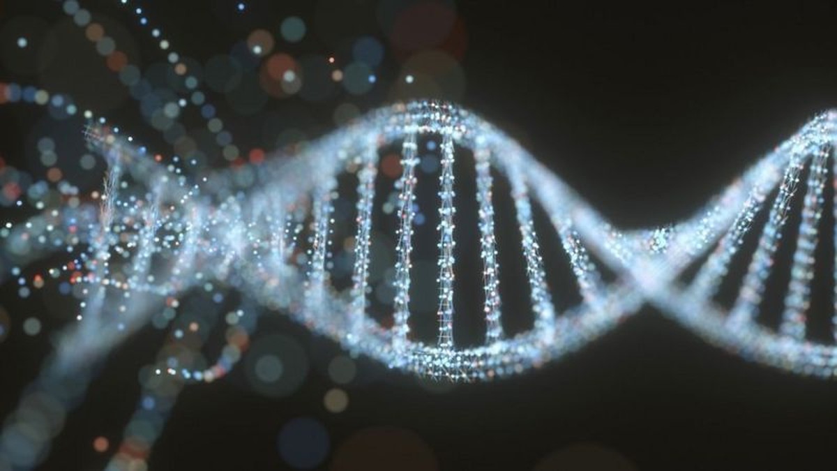 first complete human genome