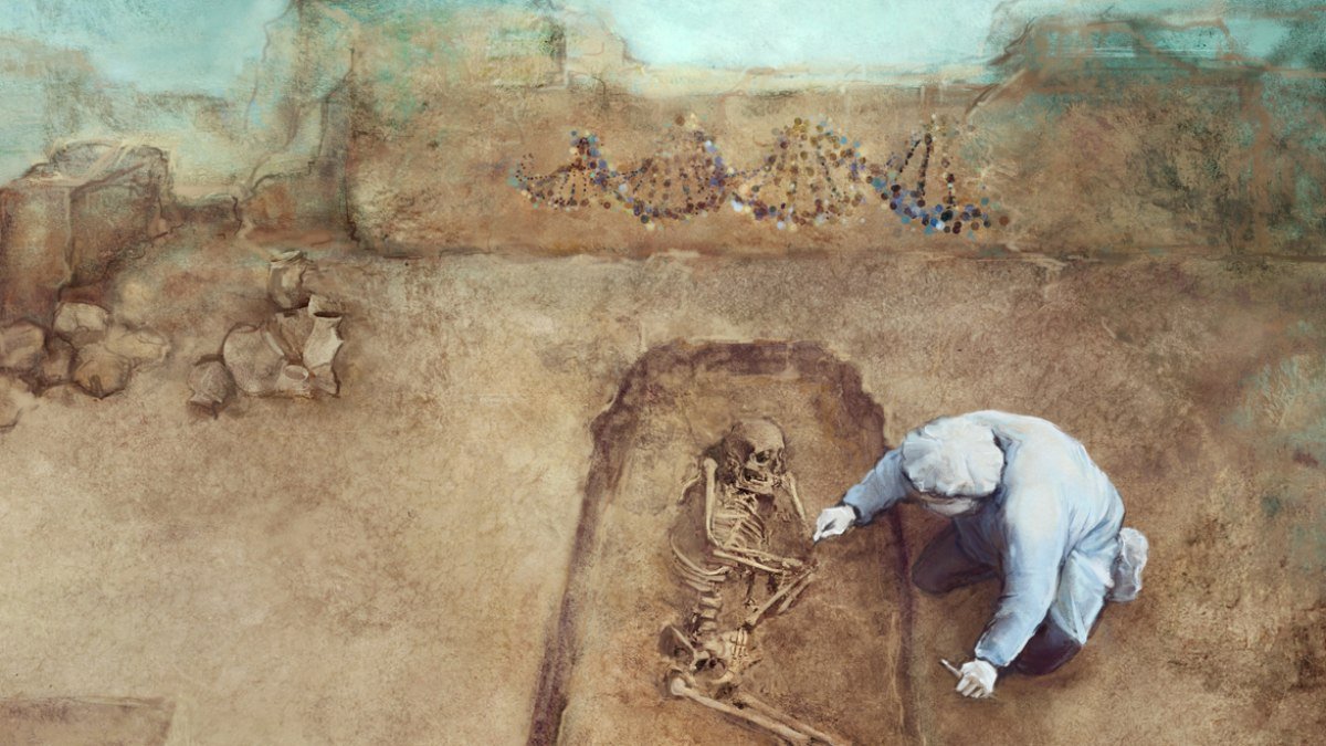 Ancestors shrink by 4 cm with switch to farming |  Science