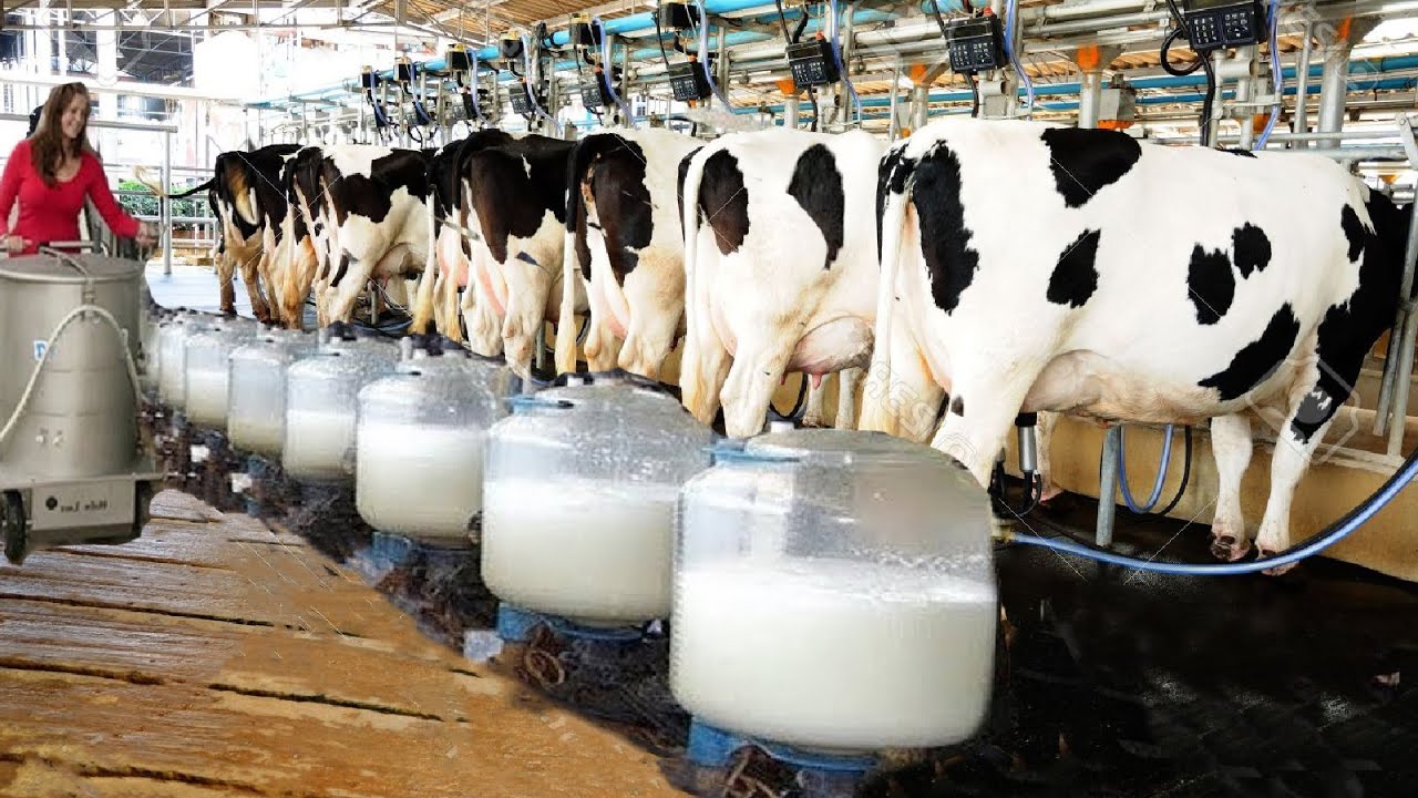 Governor bets on science to expand dairy sector