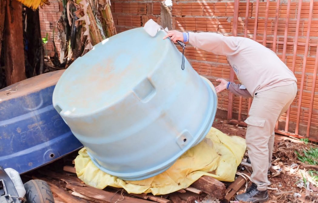 Dengue progresses and Mato Grosso do Sul has the second highest incidence of the disease in Brazil