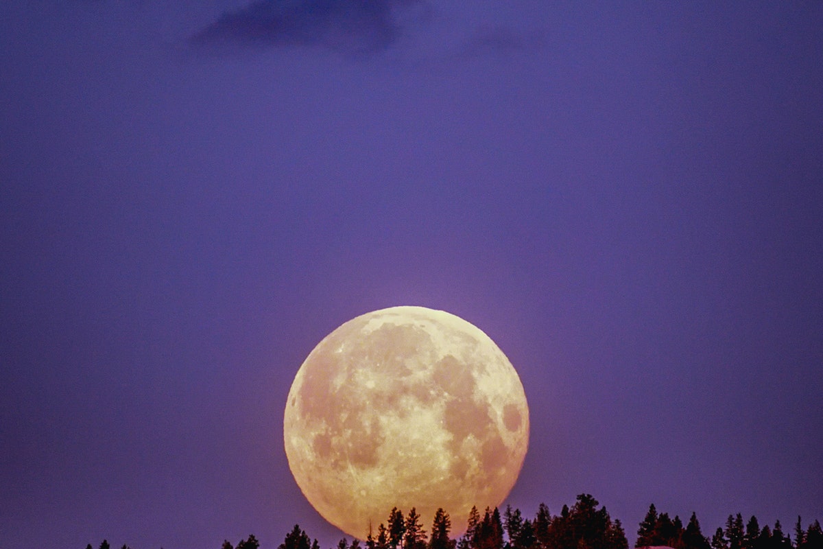 Discover the Moon’s Effect on the Garden: Find out what science actually says about it