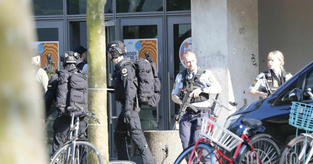 Shooting in a Danish shopping center: several injured