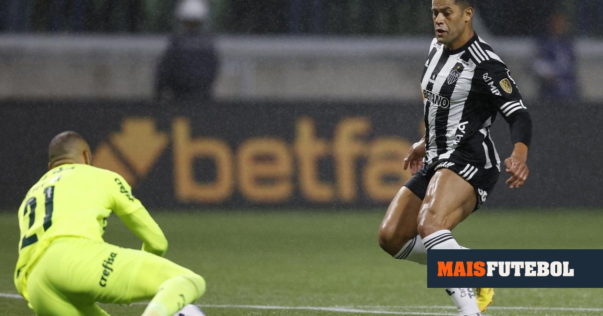 Hulk and the Libertadores Judiciary: ‘Abel Was Smart’