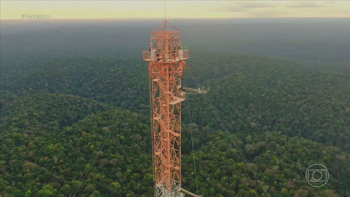 Who lives there?  Guardians of Science guard the world’s largest climate research tower in the heart of the Amazon rainforest |  who lives there