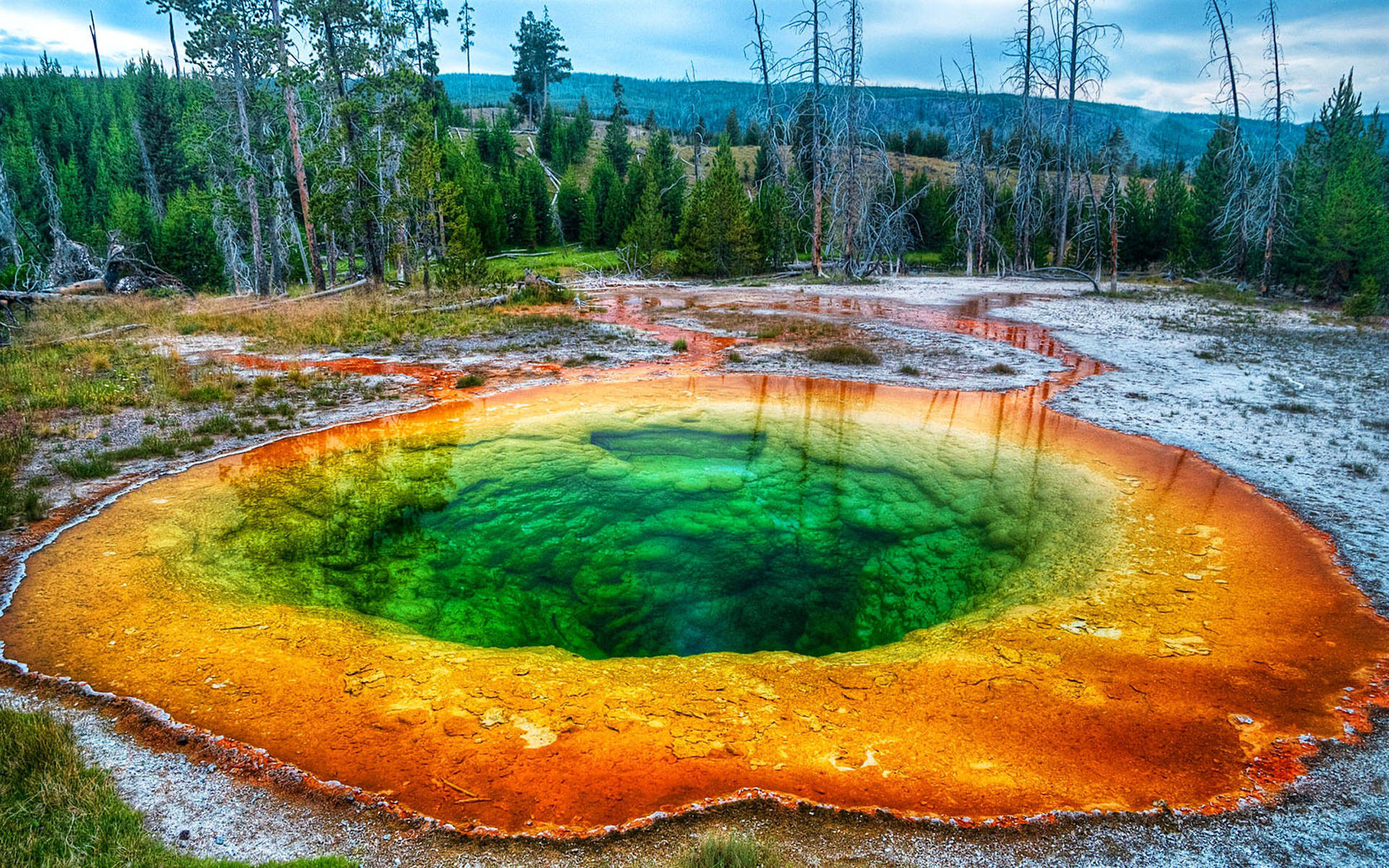 Yellowstone National Park: – There is a human foot in the natural paradise