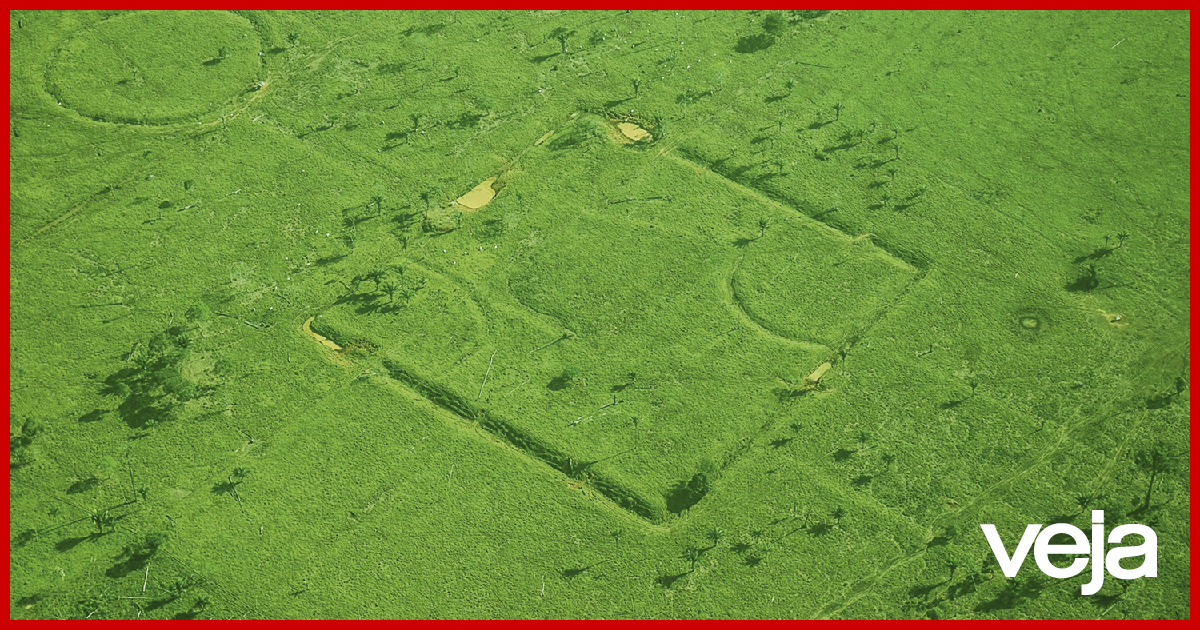 New archaeological discoveries reveal the Amazon region