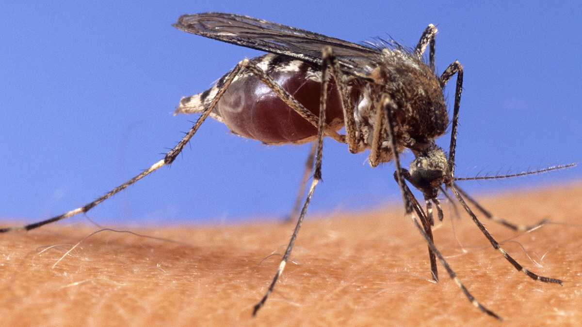 Wisconsin Department of Health confirms first case of West Nile virus