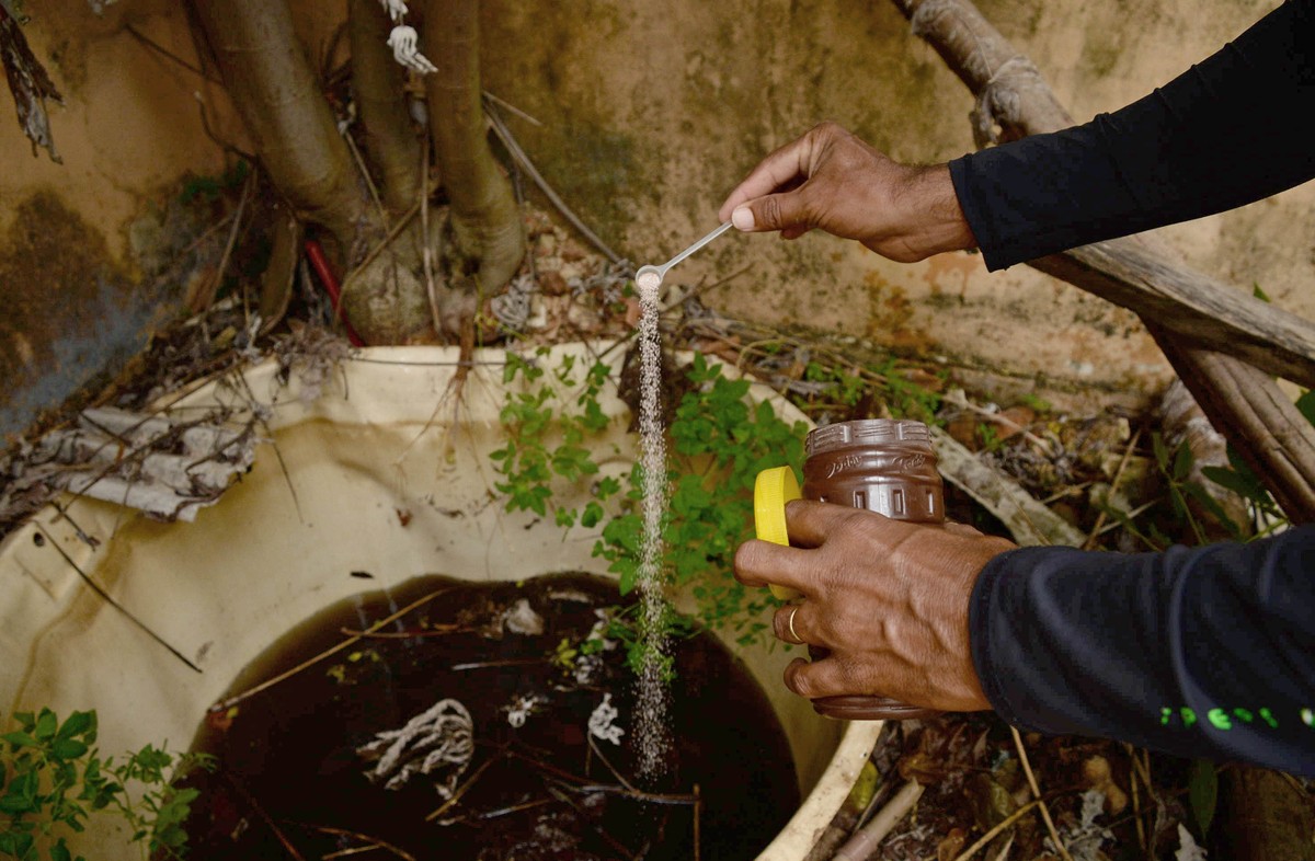 Dengue numbers continue to grow in Palmas even in the dry season |  Tocantins