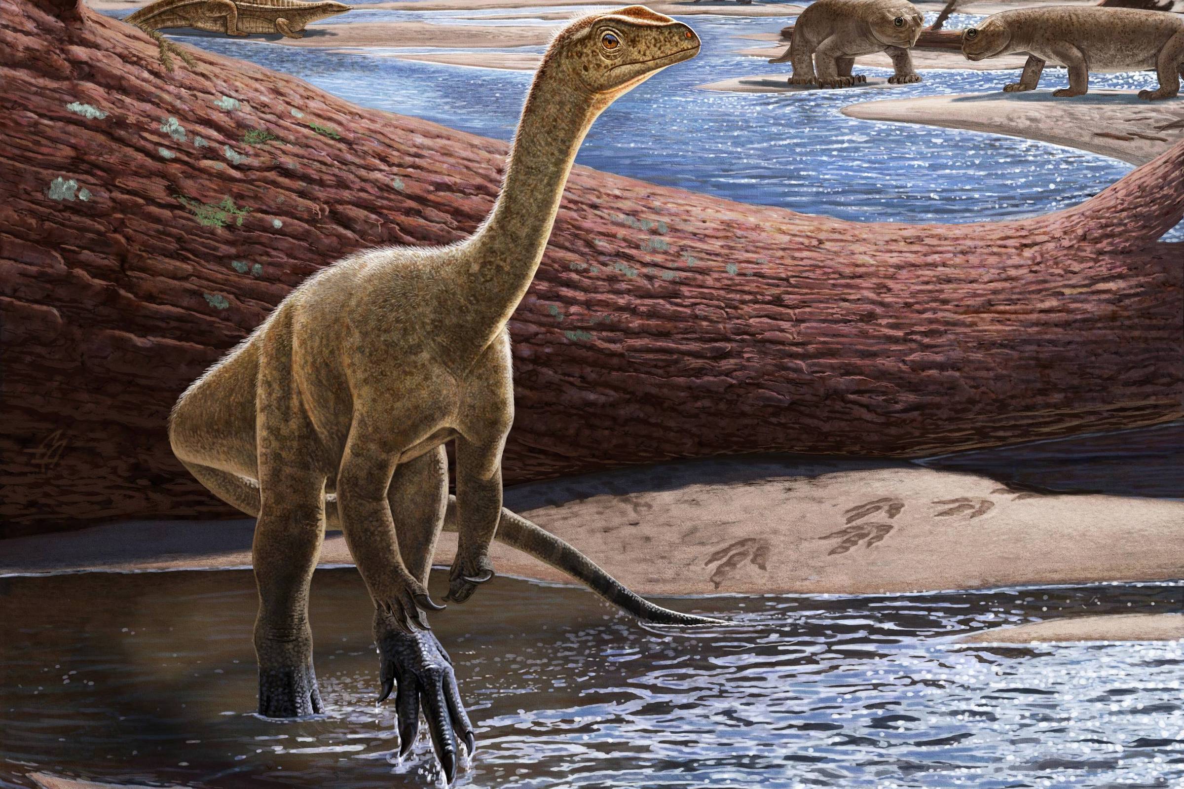 The oldest dinosaurs found in Africa – 09/03/2022 – Science