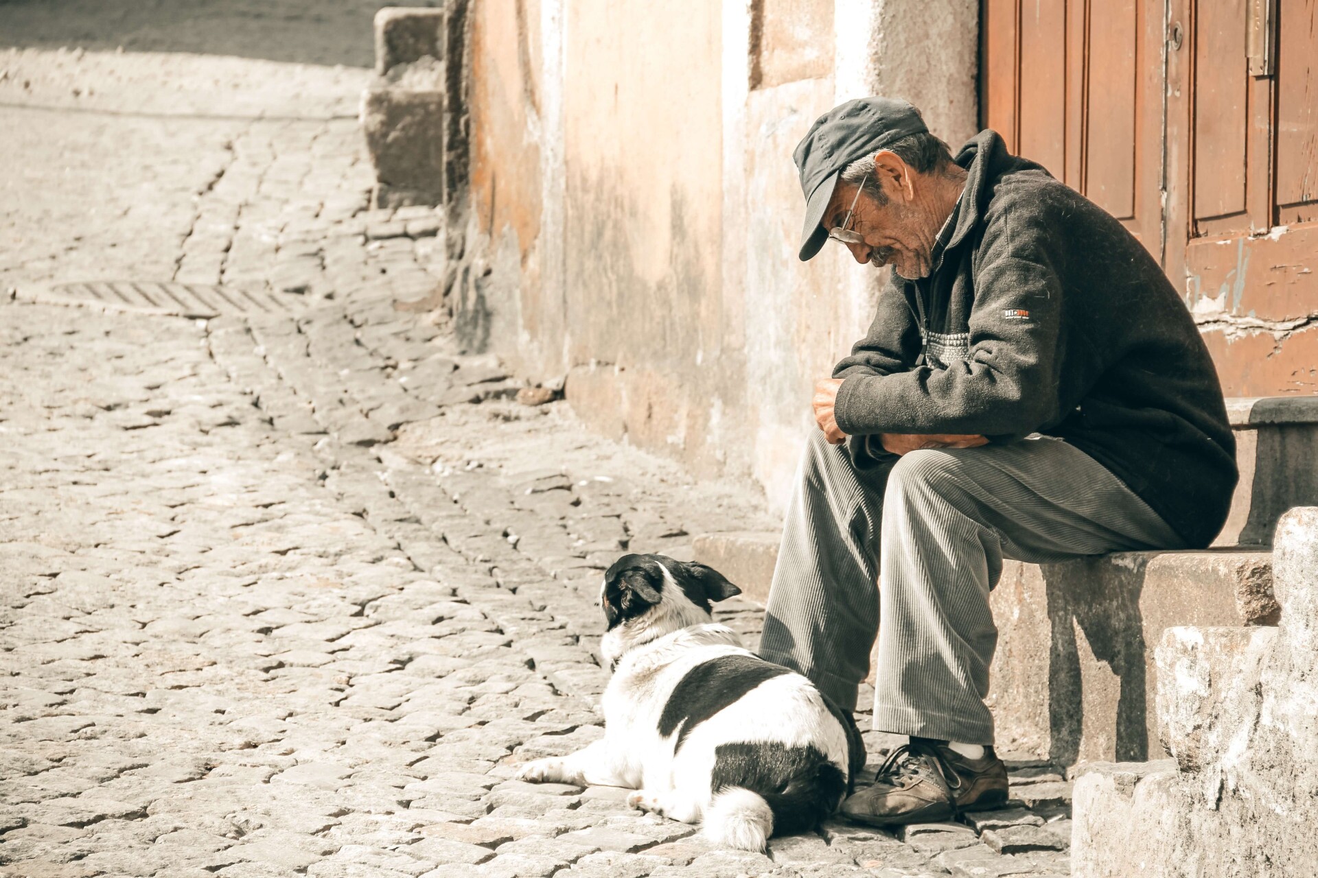 Dogs Can Smell Your Sadness And Science Explains How