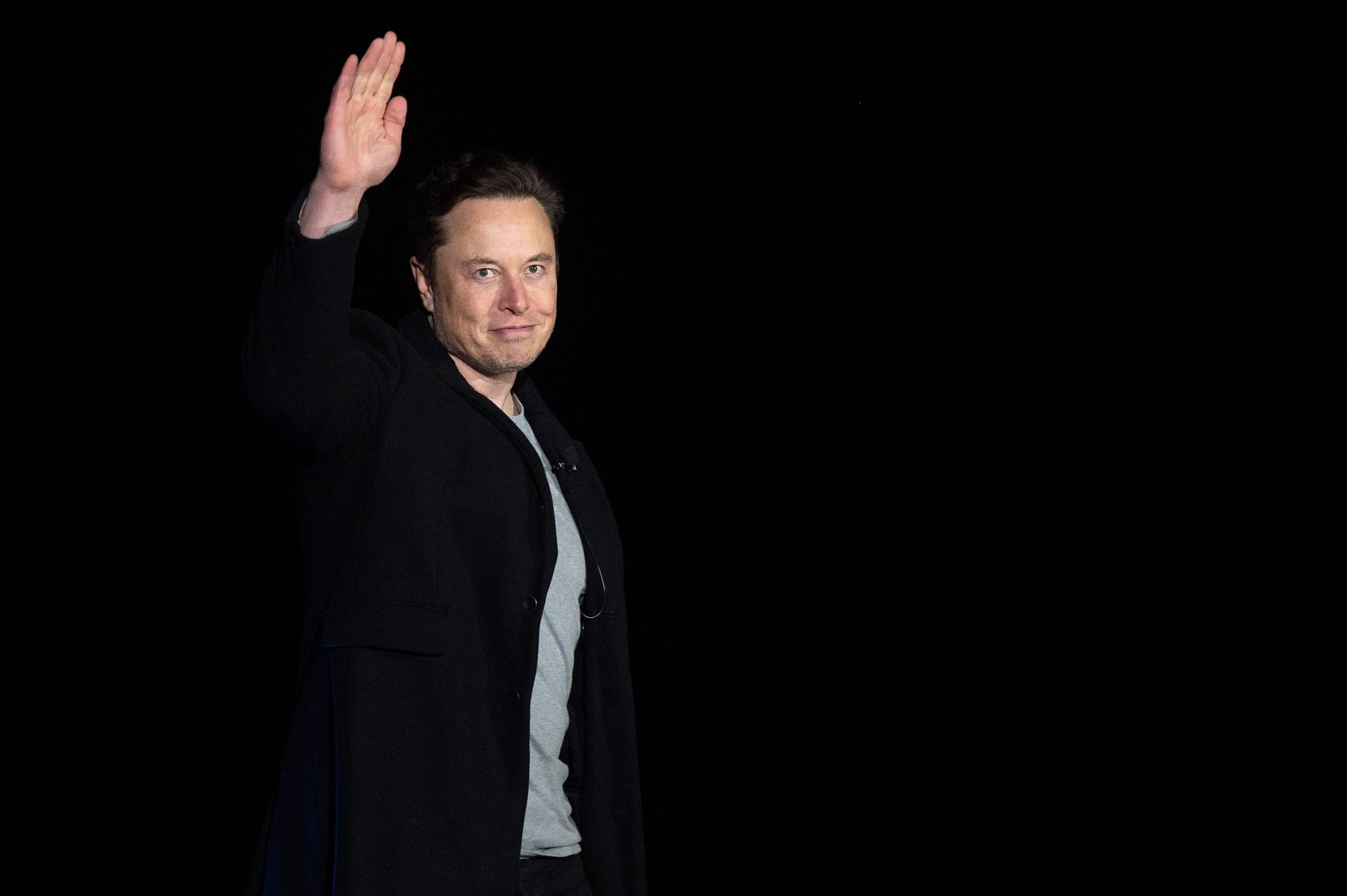 Elon Musk asks Twitter users: – Should I quit?