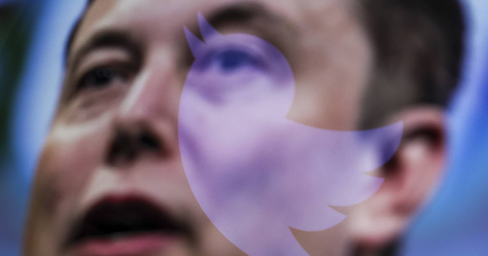 “Free speech, but not access”: Twitter has developed “secret blacklists” and restricted visibility of accounts and topics